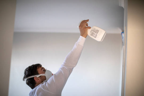 Crawl Space Mold Removal in Hutchinson, MN