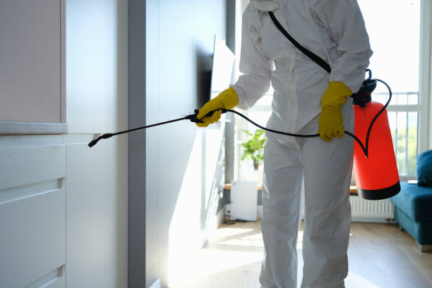 Best Mold Testing and Removal  in Hutchinson, MN